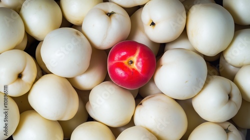 Unique Red Fruit Among White Pears photo