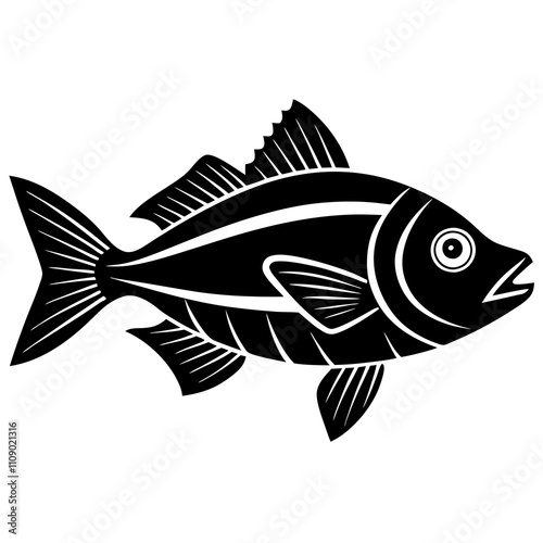 fish illustration