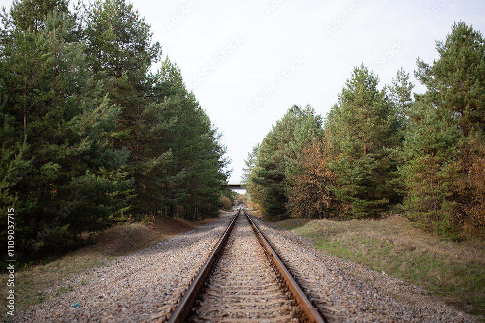Fototapeta premium Railway along the forest.