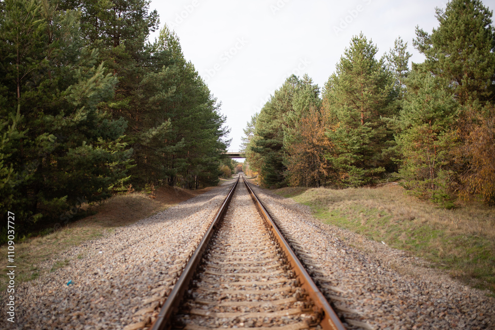 Fototapeta premium Railway along the forest.