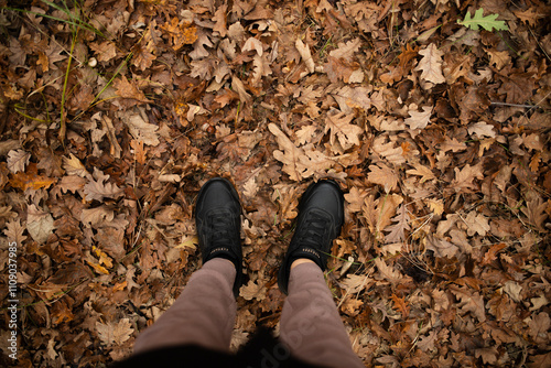 First view of woman's legs in black sneakers on autumn fallen leaves.