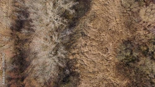 Aerial view of reed filled canal, during winter. Flying above land