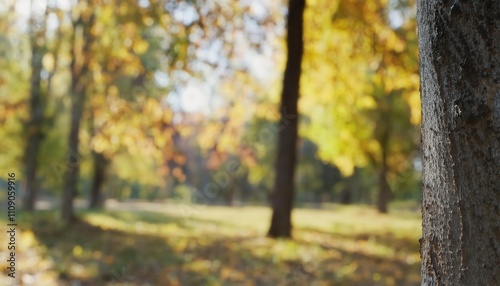 Serene Autumn Forest Scene Capturing Sunlit Yellow Leaves in Sharp Focus with Soft Blurred Background, Ideal for Nature Blogs, Meditation Themes, or Seasonal Marketing Concepts
