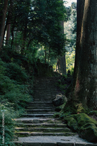 Peaceful Forest Sanctuary Stairway in Japan
