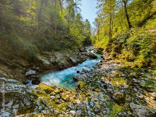 The Vintgar river canyon, Bled, Slovenia in a sunny day