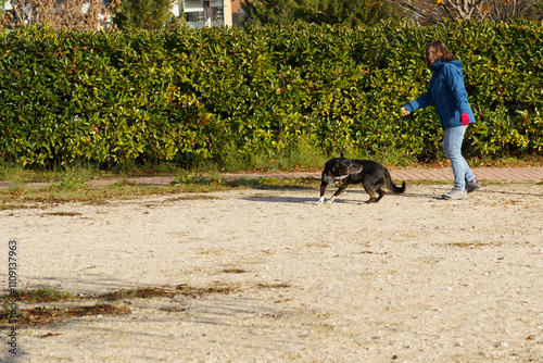 Woman playing with her dog in a park in madrid, spain. Sanchinarro, Madrid photo