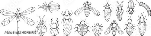 Black and white doodle illustration of a detailed beetle with ornament. Line art drawing isolated on white background. Coloring book page.