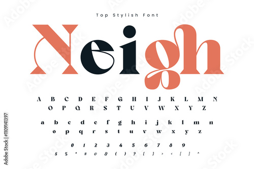 Neigh Stylish alphabet display vector font and Beautiful luxury Font