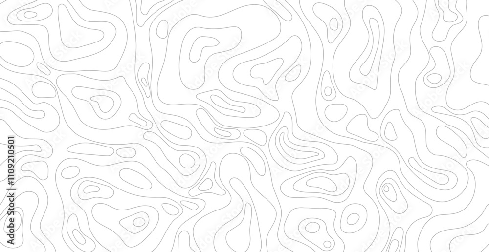 Fototapeta premium Abstract White Wave Line Topography Map Background. Vector Illustration