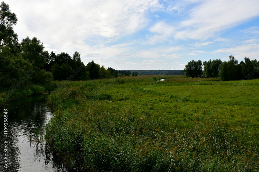Obraz premium A view of a shallow yet vast pond or lake flowing next to vast fields covered with herbs, reeds, and various crops located next to some tiny forests and moors spotted on a cloudy summer day in Poland