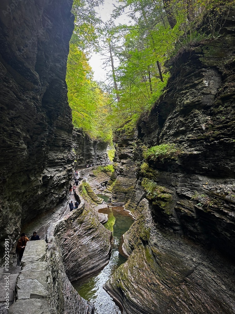 Fototapeta premium Wandering through the canyon (Watkins Glen State Park, New York, USA)