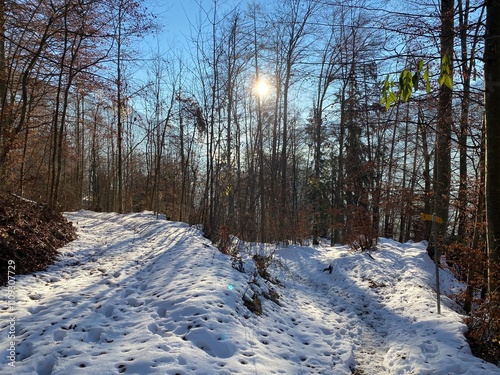 Wallpaper Mural Wonderful winter hiking trails and traces over the Lake Walen or Lake Walenstadt (Walensee) and in the fresh alpine snow cover of the Swiss Alps, Walenstadtberg - Canton of St. Gallen, Switzerland Torontodigital.ca