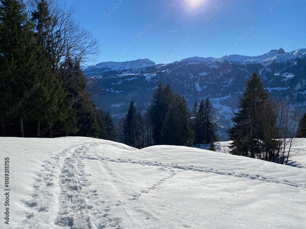 Fototapeta premium Wonderful winter hiking trails and traces over the Lake Walen or Lake Walenstadt (Walensee) and in the fresh alpine snow cover of the Swiss Alps, Walenstadtberg - Canton of St. Gallen, Switzerland