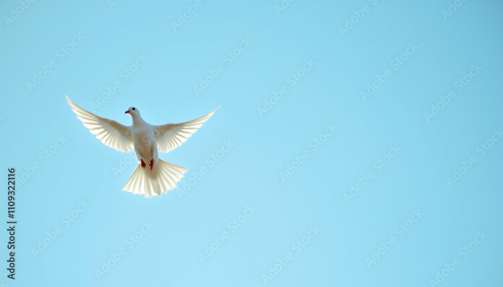 Fototapeta premium A white dove in flight against a clear blue sky symbolizing peace and hope.