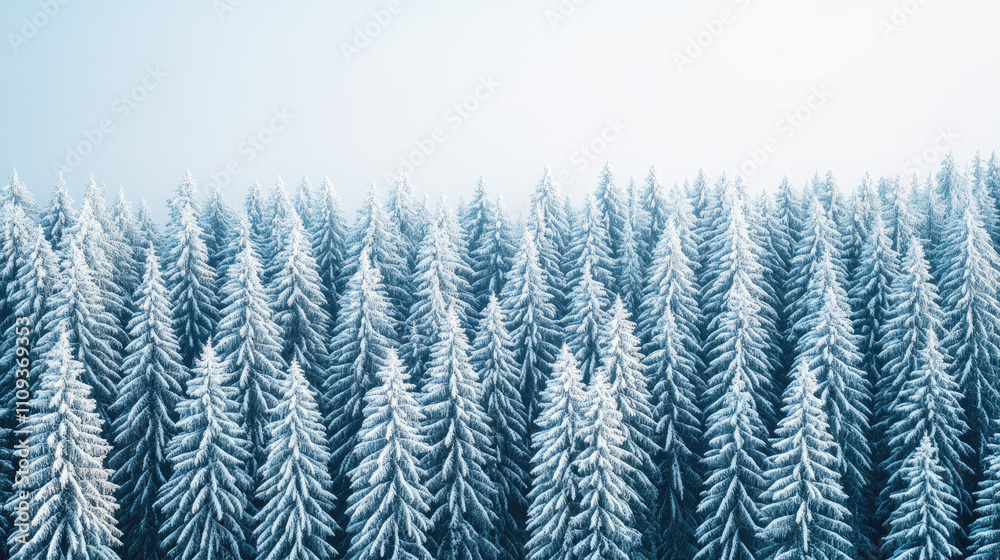 A serene winter scene showcasing a dense forest of snow-covered evergreen trees under a bright, clear sky. A serene winter scene showcasing a dense forest of snow-covered evergreen trees under a bright, clear sky.