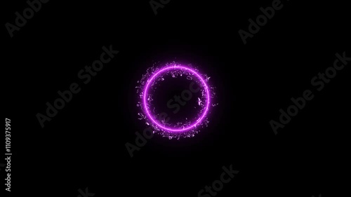 Neon lights glowing futuristic trendy firework ribbon lines. Explosion, fireworks beautiful glowing line. Neon line blaze glowing flashing loop random on isolated black background