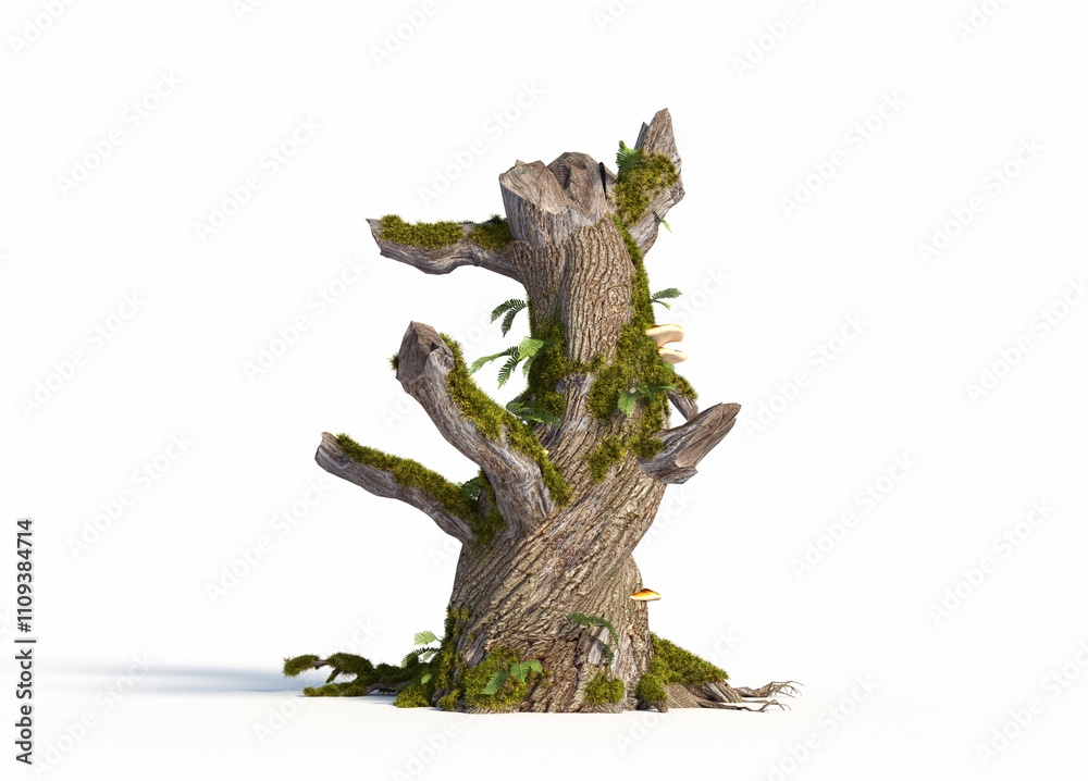 Moss-covered twisted tree trunk with ferns and mushrooms in a bright setting Moss-covered twisted tree trunk with ferns and mushrooms in a bright setting