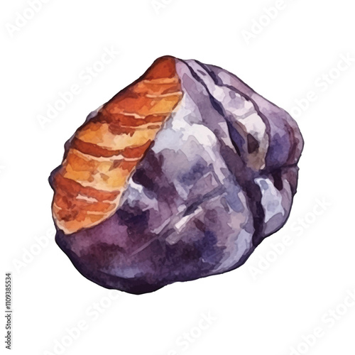 watercolor Sweet potato isolated white background
