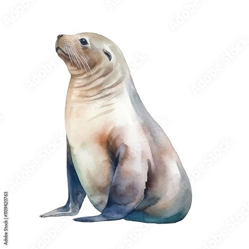 watercolor Sea Lion isolated white background