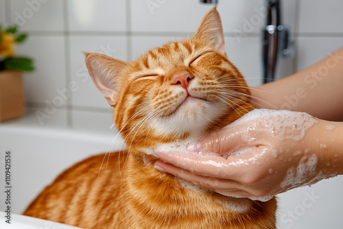 Expert groomer, washing a red tabby cat in a modern pet salon. Pet care.