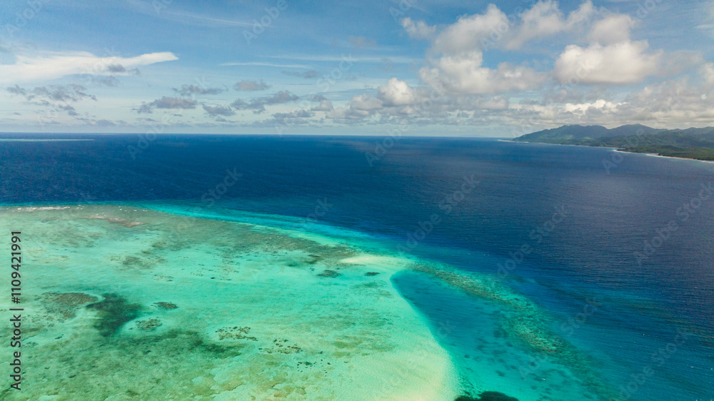 Obraz premium The coast of a tropical island covered with forest. Balabac, Palawan. Philippines.