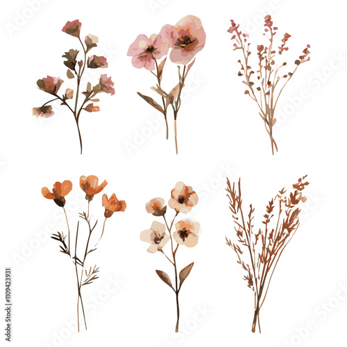 dried floral watercolor, perfect for wedding invitations, greeting cards, packaging, and more creative projects