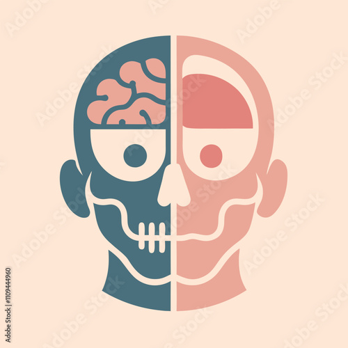 Anatomical details of a human head vector illustration.
