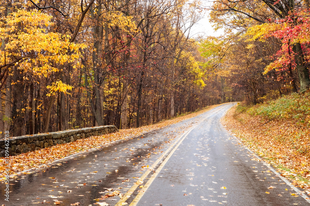 Shenandoah National Park - Virginia, United States Shenandoah National Park - Virginia, United States