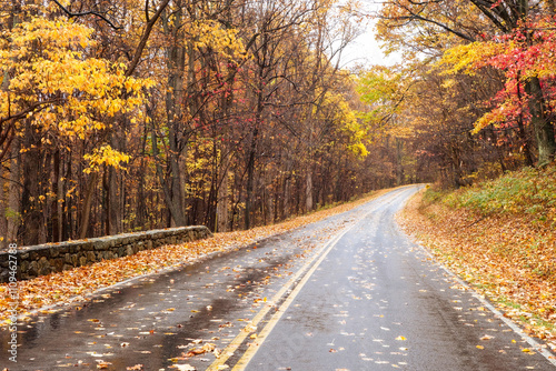 Shenandoah National Park - Virginia, United States