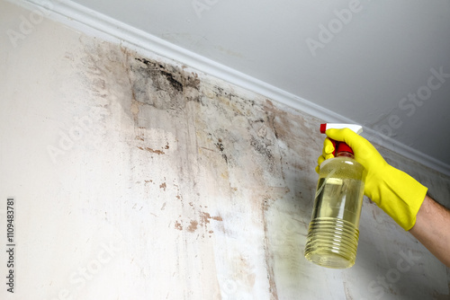 Removing mold from the wall by spraying special chemicals
