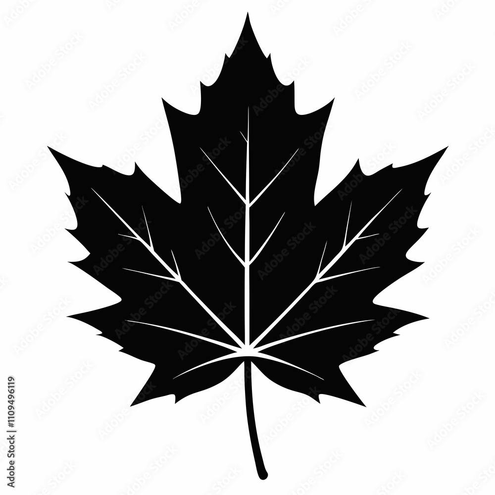 Naklejka premium Maple Leaf vector silhouette black design white background