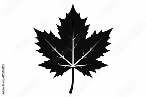 Maple Leaf vector silhouette black design white background