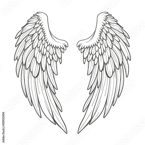 Vector outline wings on white background