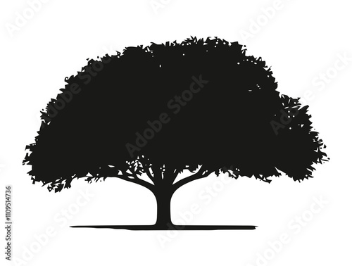 Haw tree silhouette vector illustration