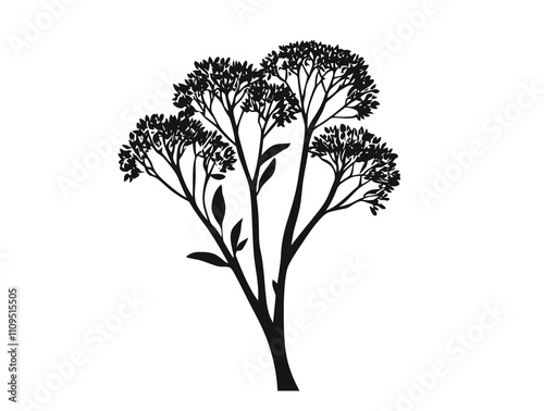 Camphor tree silhouette vector illustration