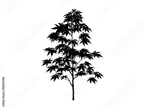 Chinese Maple tree silhouette vector illustration