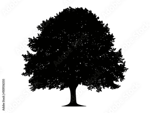 American Hornbeam tree silhouette vector illustration