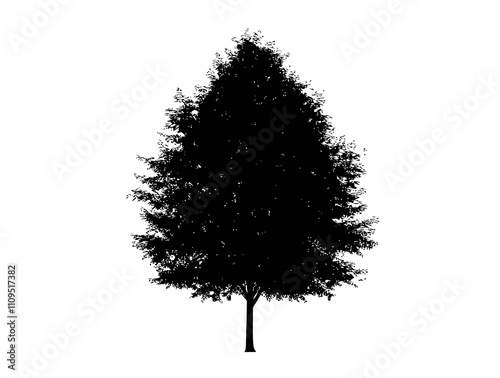 Beech tree silhouette vector illustration