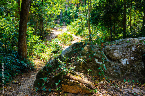 登山道(タイ)