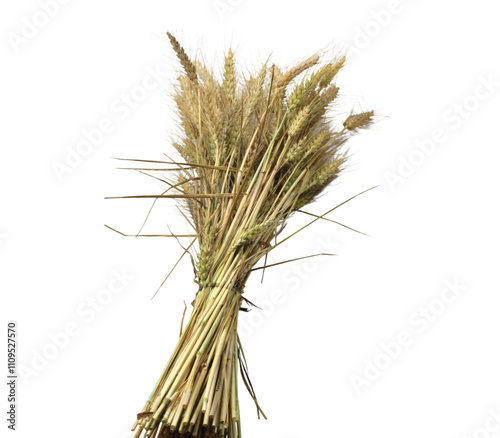 Bunch of wheat isolated on transparent background
