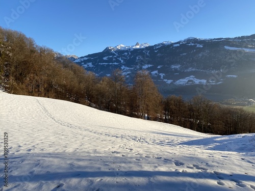 A wonderfully beautiful winter setting with a fresh snow cover in the Swiss Alps and above the Lake Walen or Lake Walenstadt (Walensee), Walenstadtberg - Canton of St. Gallen, Switzerland (Schweiz) photo