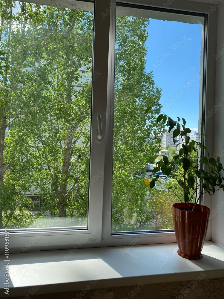 Fototapeta premium window with flowers