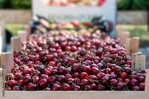 Fresh and Delicious Cherries Displayed at a Local Market Stand for Everyone to Enjoy