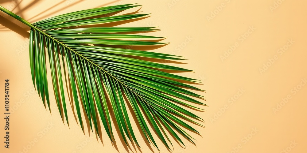 A single palm frond casts a long shadow on a warm, pastel background, evoking a sense of summer tranquility and tropical escape. A single palm frond casts a long shadow on a warm, pastel background, evoking a sense of summer tranquility and tropical escape.