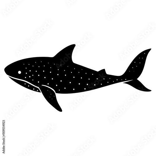 shark illustration photo