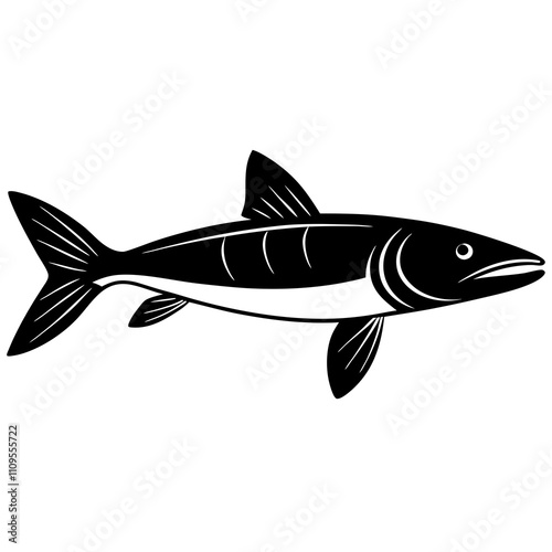 fish isolated on white