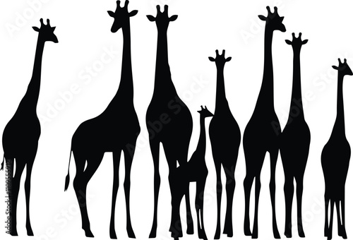 Photography Giraffe, giraffe silhouette, animal vector illustration - Animal silhouette on the savannah