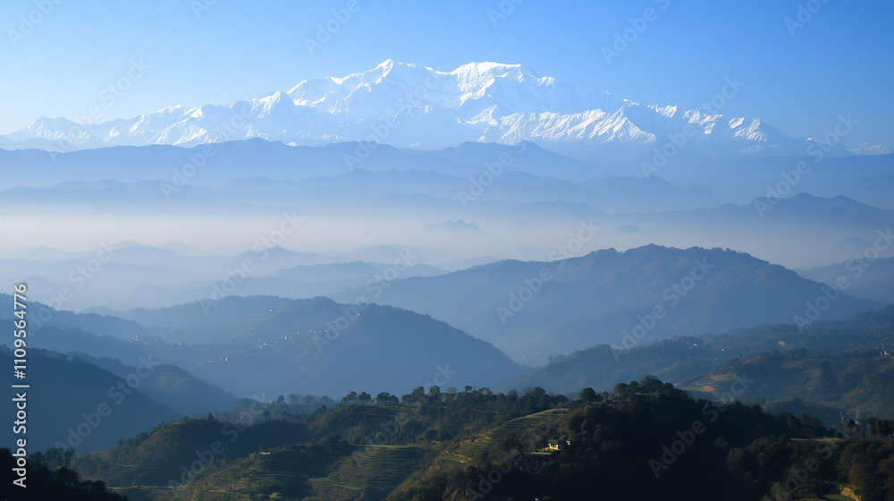 The Mountains The Mountains