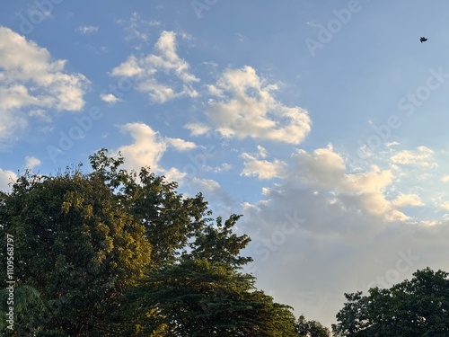 clouds and trees