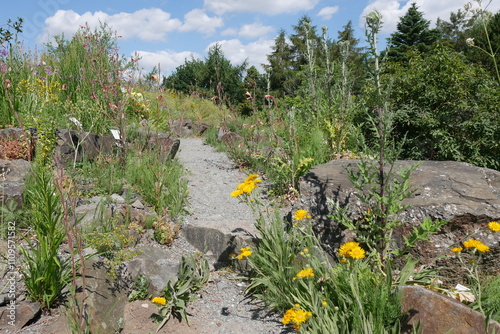 Steingarten im Botanischen Garten in Kiel photo